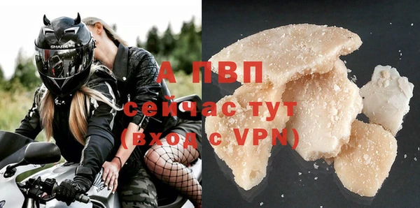 эйфоретик Белокуриха